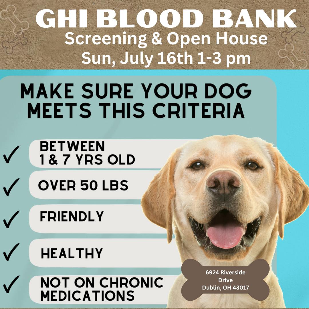 The Greyhound Health Initiative